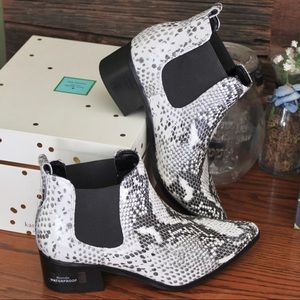 Blondo Snake Print Chelsea Booties